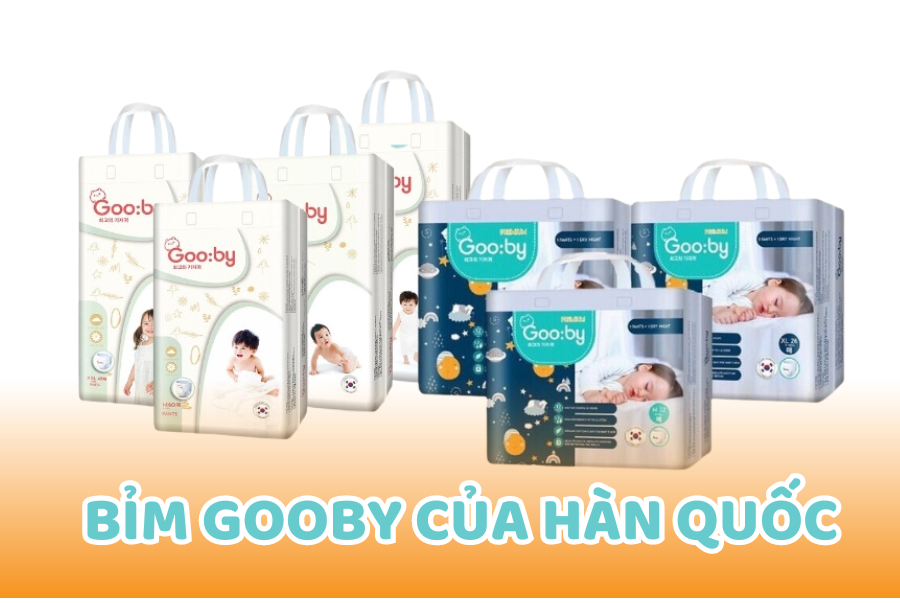 Review bỉm AiWibi: Ưu và nhược điểm