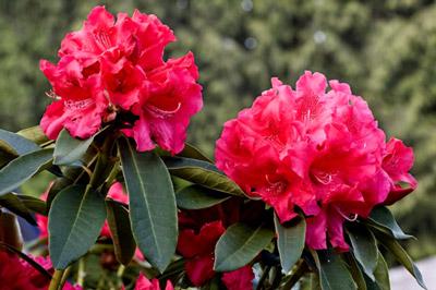 mau-bang-theo-doi-nhiet-do-tu-lanh-excel