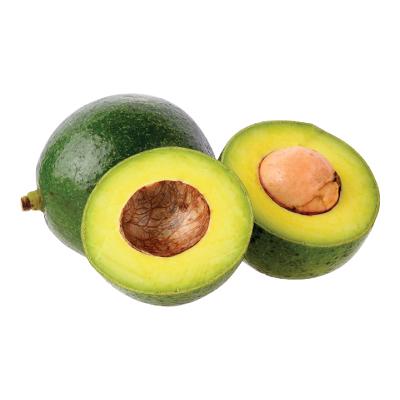 bo booth da bao quan trong tu lanh