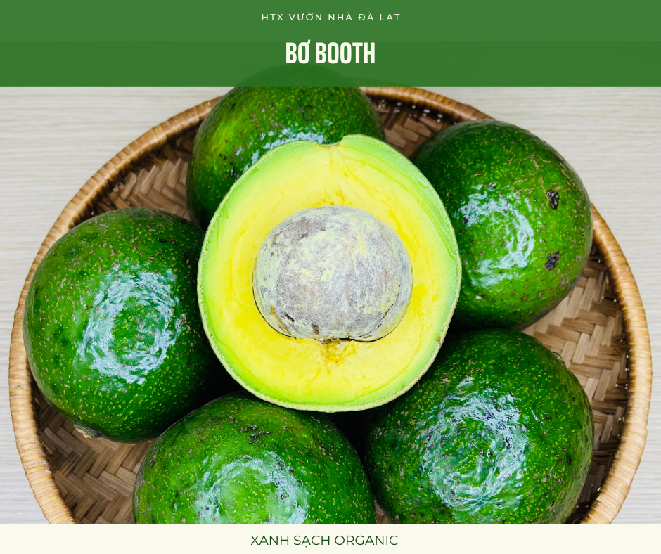 bo booth da bao boc mang thuc pham