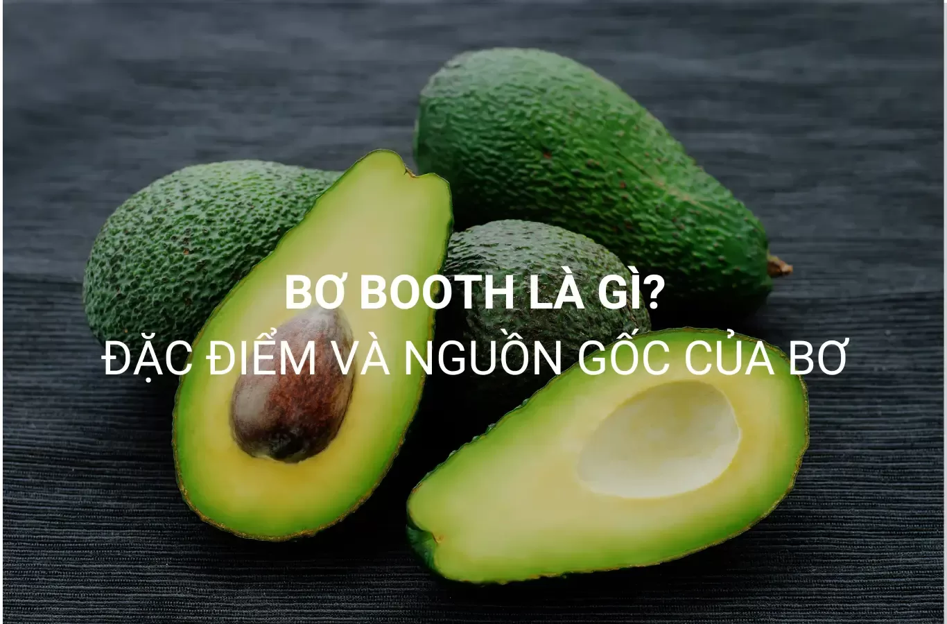 bo booth da cat con hat