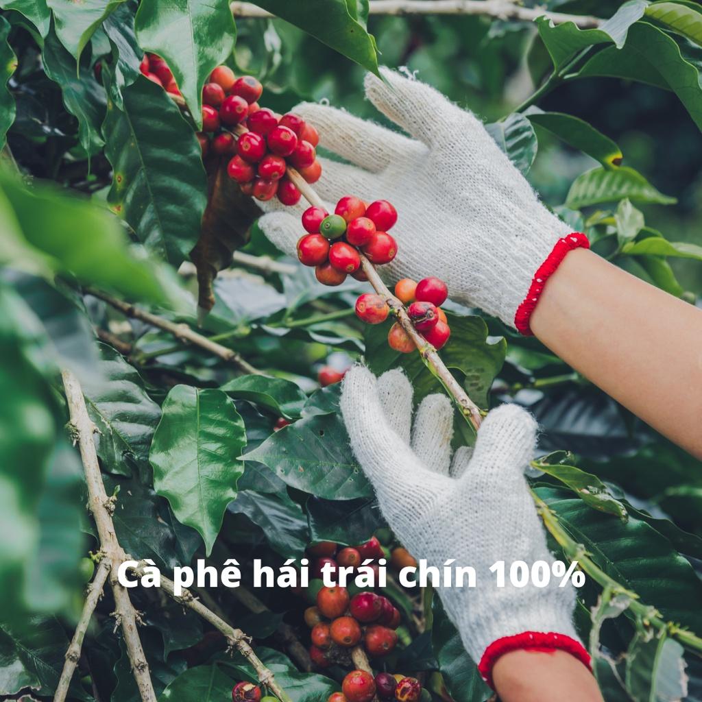 dau-den-song-trong-tui-zip-de-trong-tu-lanh