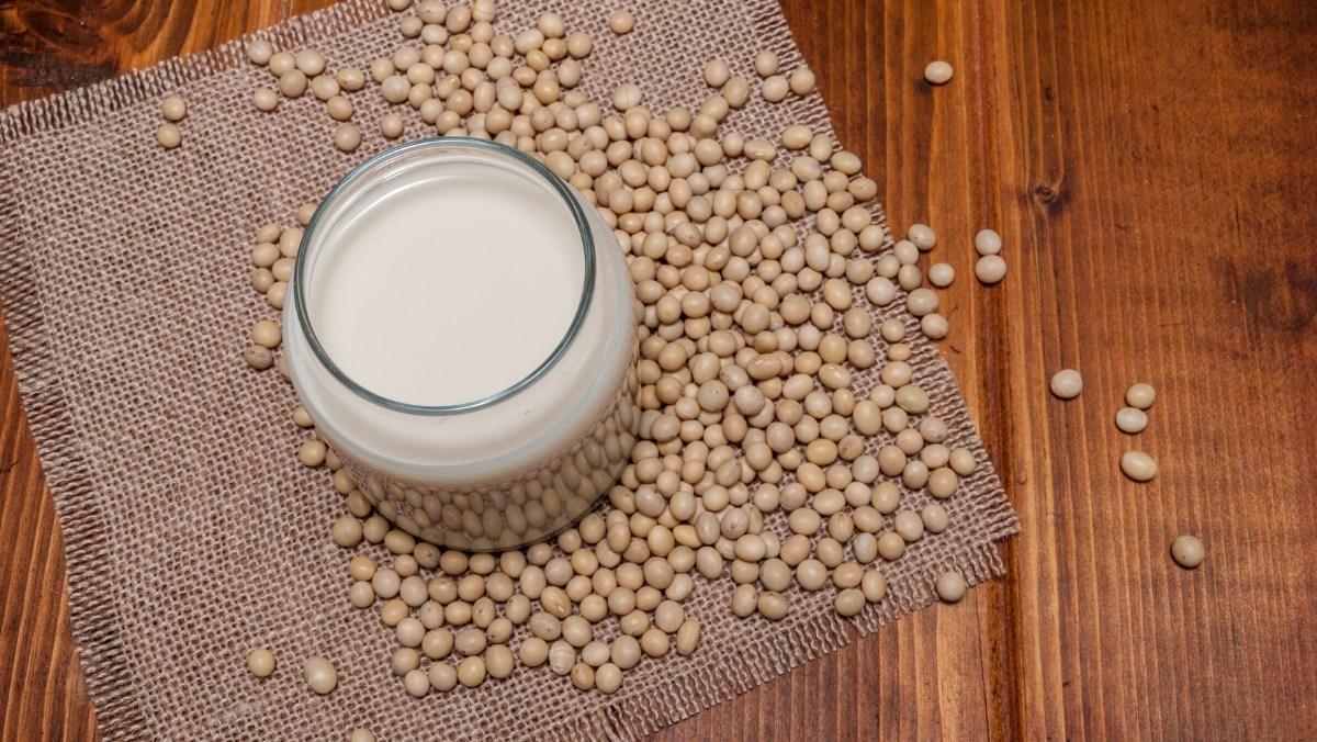 Các dấu hiệu cho thấy sữa đậu nành đã bị hỏng