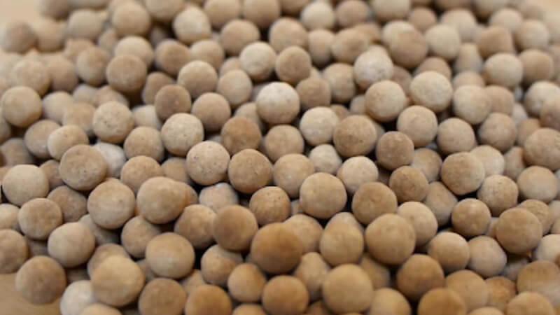 khoai lang luộc bị mốc đen không nên sử dụng