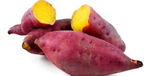 khoai-lang-tuoi-ngon-trong-ro