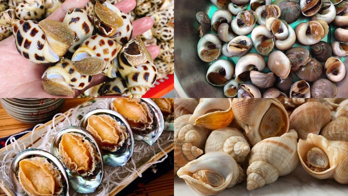 oc-da-luoc-bao-quan-trong-hop-tu-li-ngan-da