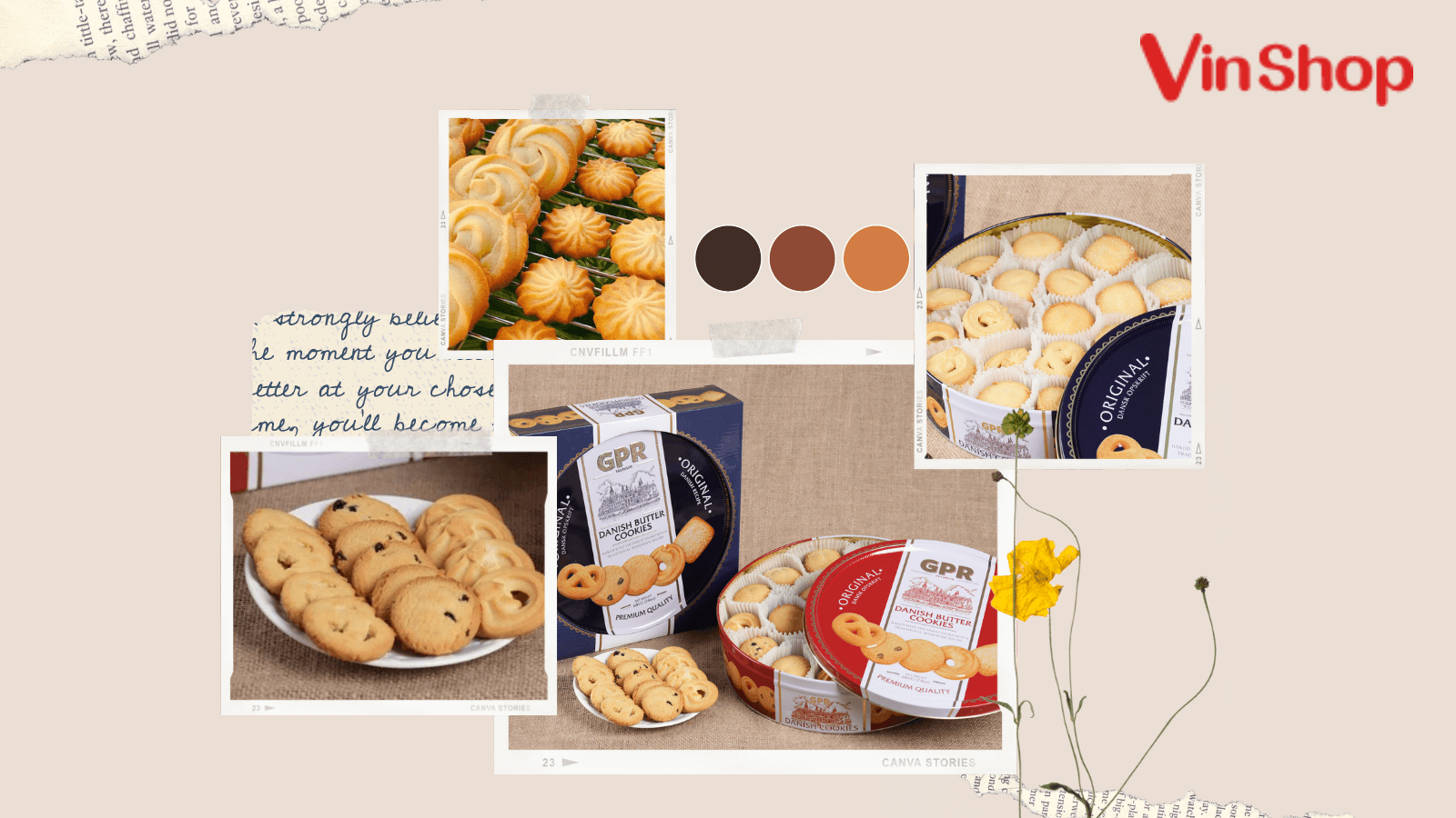 hoa-bi-dap-nat-do-bao-quan-sai-cach