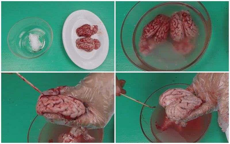 So che oc heo dung cach, rua sach va boc kin