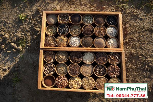 so-sanh-cac-phuong-phap-bao-quan-hat-giong