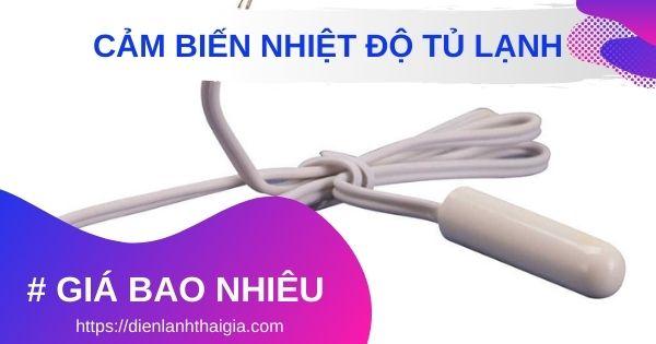 thay-sensor-tu-lanh-tai-nha