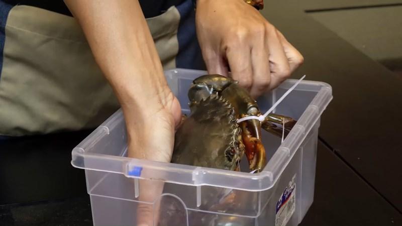 tu-lanh-bao-quan-ngan-bien-dung-cach