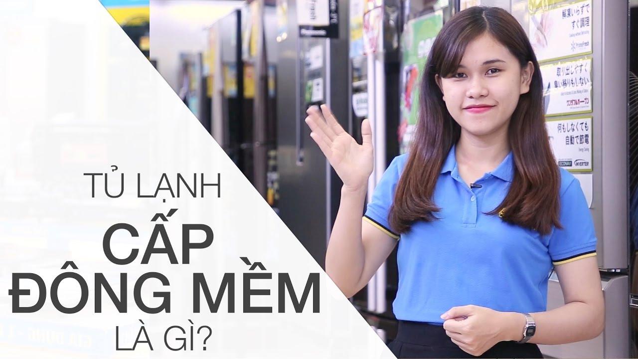 tu-lanh-cap-dong-mem-hoat-dong-nhu-the-nao