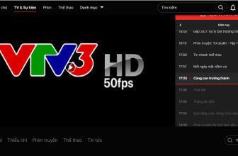 xu-huong-giai-tri-truc-tuyen-tai-viet-nam-truyen-hinh-ket-hop-ott-bung-no