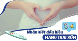 [Mẹo vặt] Cách nhận biết có thai tại nhà không cần que thử