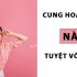 [Bật Mí] Cung hoàng đạo nào Thành Công nhất? Có Quý nhân phù trợ