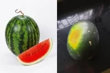 Dưa hấu để tủ lạnh được bao lâu: Bí quyết bảo quản chuẩn chuyên gia