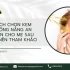 Bỉm thấm hút tốt cho trẻ sơ sinh: Lựa chọn tối ưu cho bé yêu